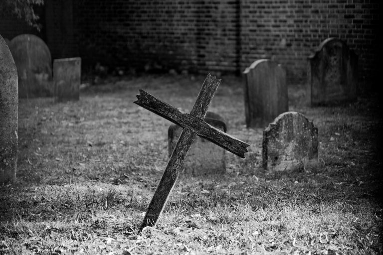 Read more about the article Even if I die
