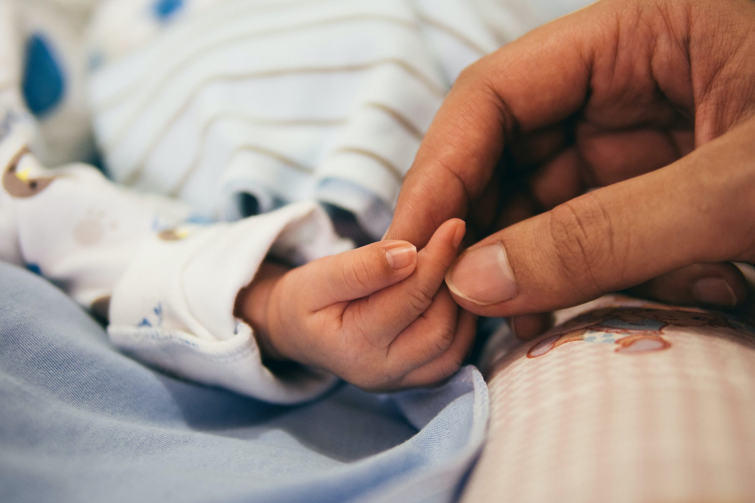 You are currently viewing The essential new birth