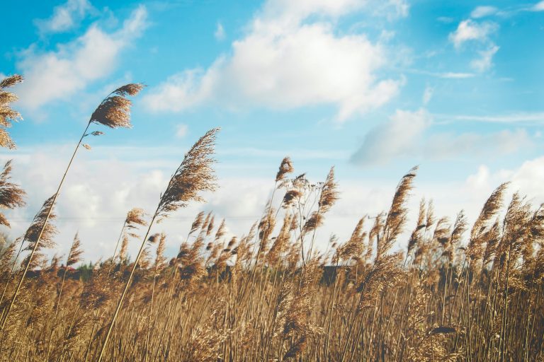 Read more about the article Faith in the invisible