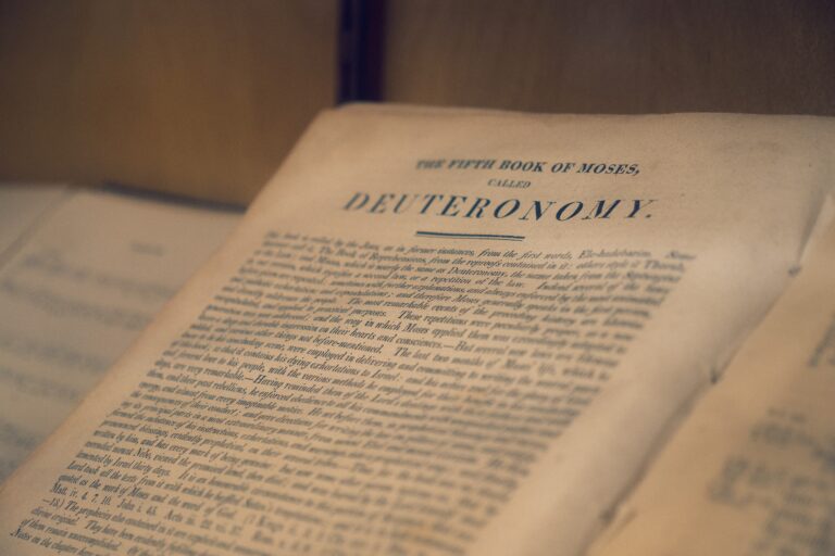 Read more about the article The surprise of Deuteronomy