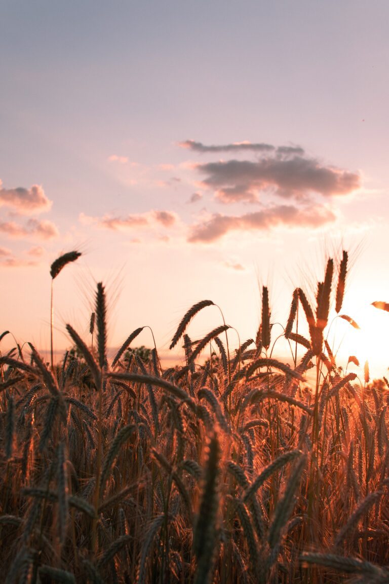 Read more about the article The other “Lord’s prayer”