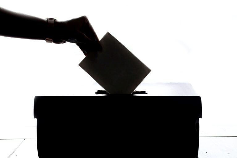 Read more about the article How to vote