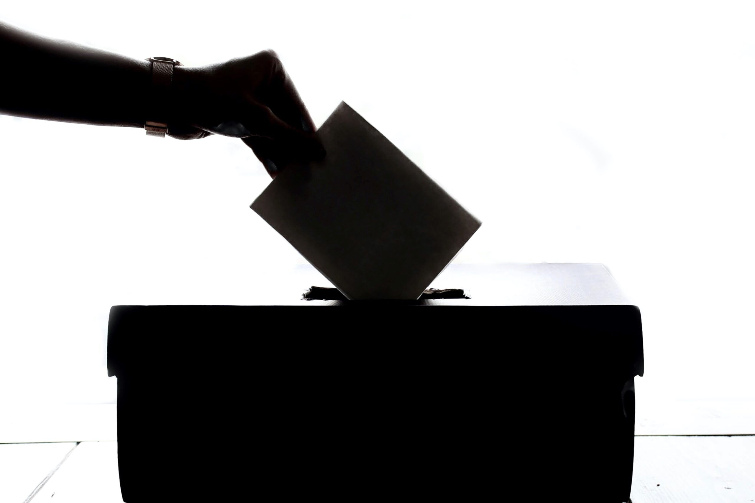 Read more about the article How to vote