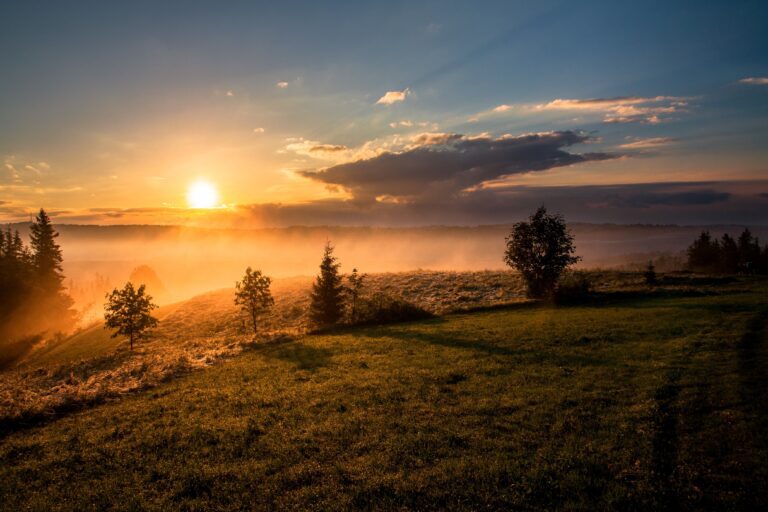 Read more about the article Morning and evening