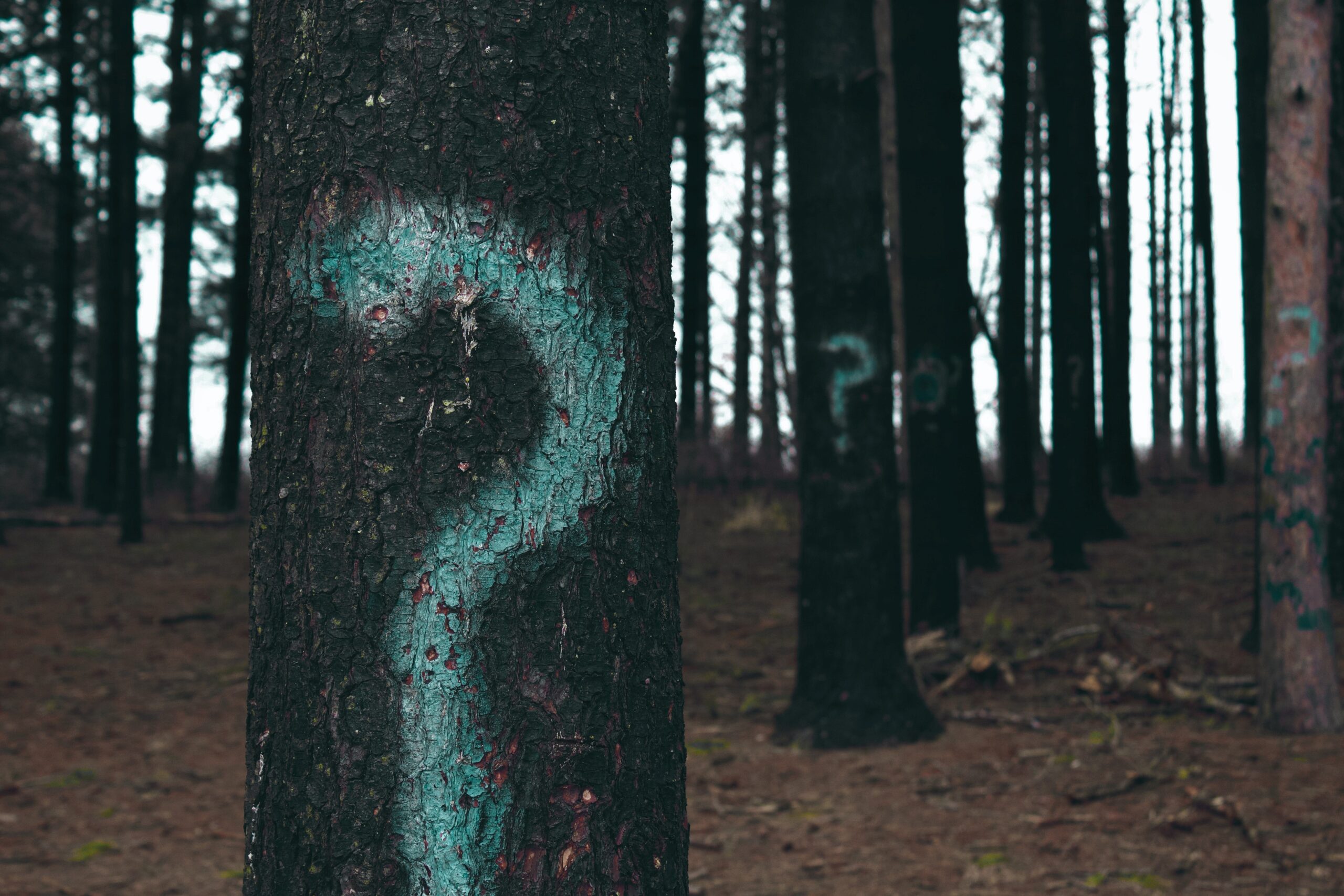 You are currently viewing Doubt, questions, certainty