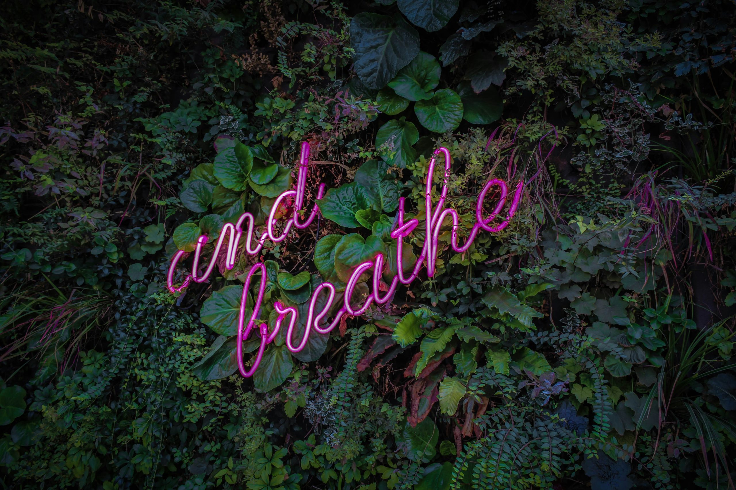 Read more about the article The Air We Breathe