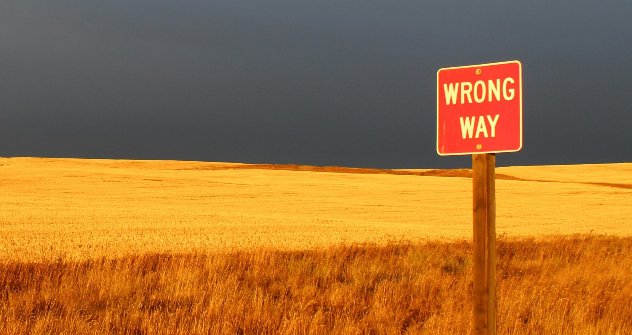 Read more about the article A warning or a bluff?