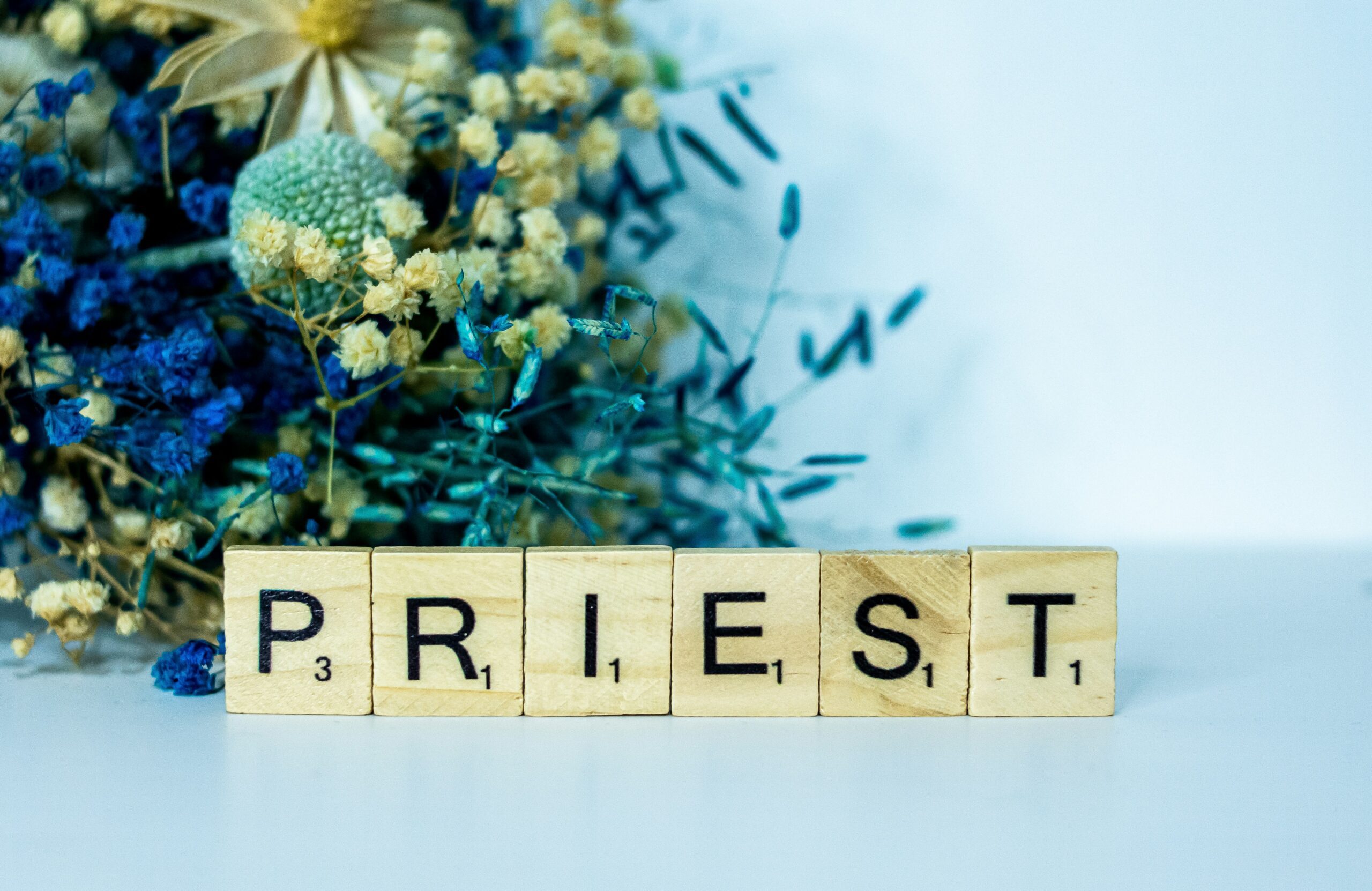 Read more about the article Jesus our priest